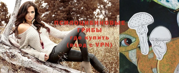дживик Армянск